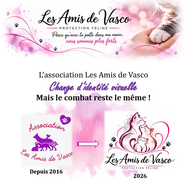 Annonce : l'ancien logo violet de 2016 laisse place au nouveau logo 2026, avec trois chats enlacés dans un cœur