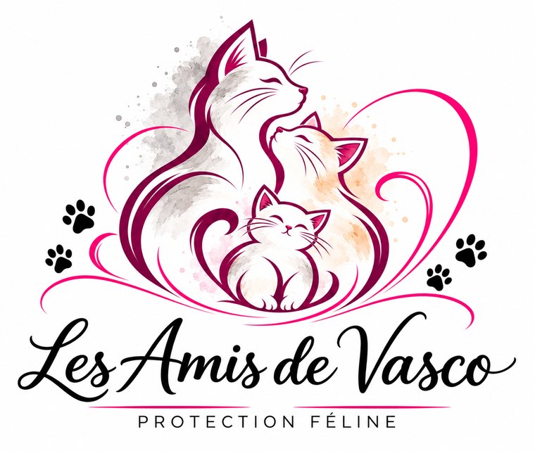 Logo Les Amis de Vasco, protection féline : trois chats enlacés dans un cœur